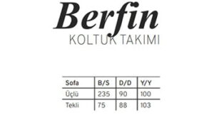 Türkmen Berfin Koltuk Takımı - Görsel 4