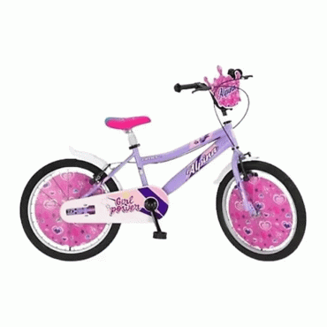 BABYHOPE ALPİN 20 JANT KIZ BİSİKLET
