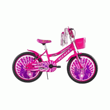 TUNCA BEEMER 20 JANT KIZ ÖN SEPETLİ BİSİKLET