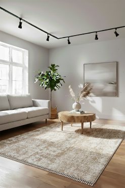 PICASSO 1003 Bej Halı - Açık Tonlu Eskitme/Vintage Desenli, Modern Dokulu, Salon Halısı