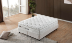 Armis Escalade Yatak