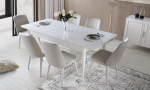 Viyana Modern Yemek Odası Takımı